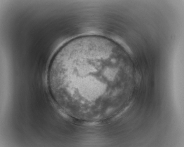 X0000113641278200910091529