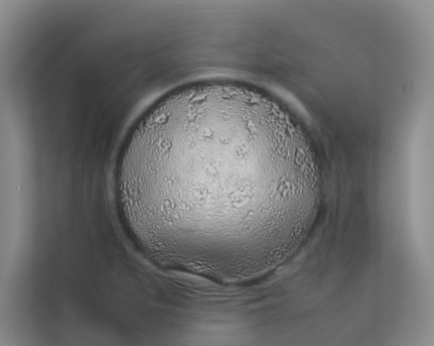 X0000113641279200910091529