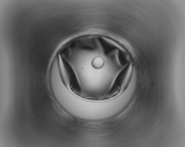 X0000113641280200910091529