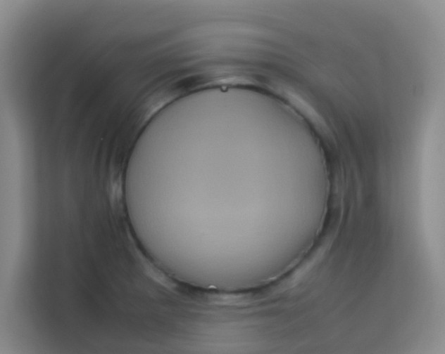 X0000113641281200910091529