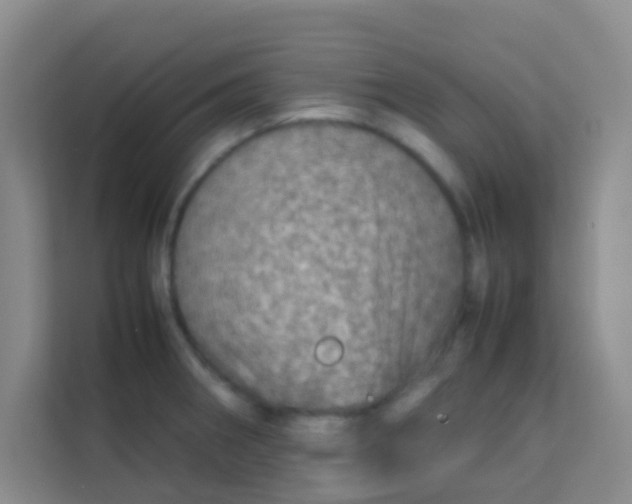 X0000113641282200910091529