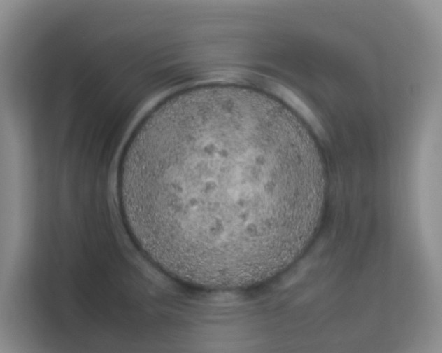 X0000113641283200910091529