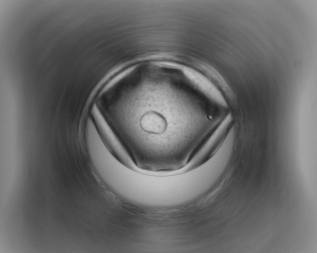 X0000113641284200910091529