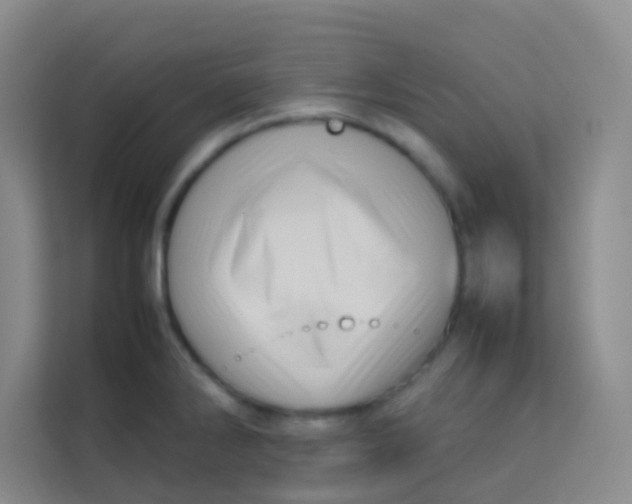 X0000113641286200910091529