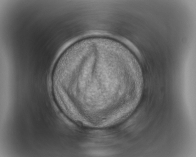 X0000113641287200910091529