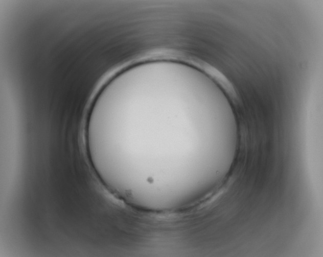 X0000113641288200910091529