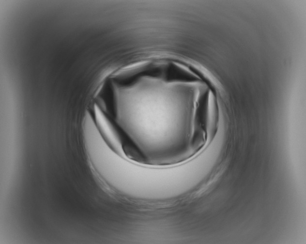 X0000113641289200910091529