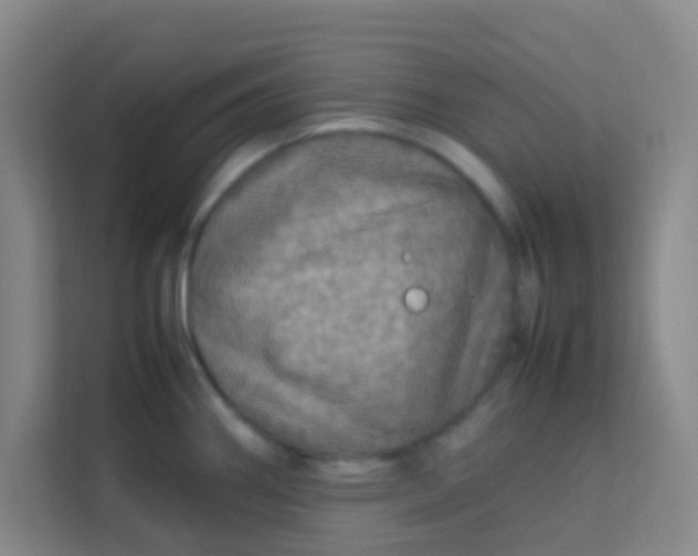 X0000113641290200910091529