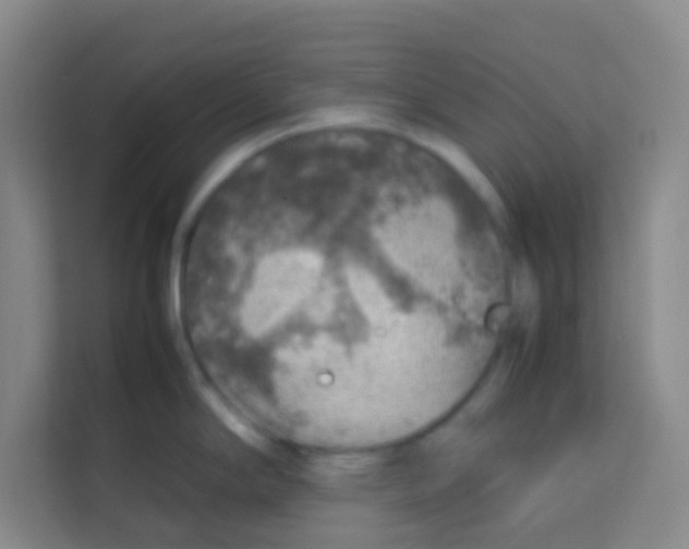 X0000113641294200910091529