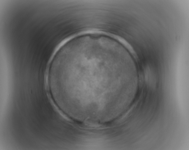 X0000113641295200910091529