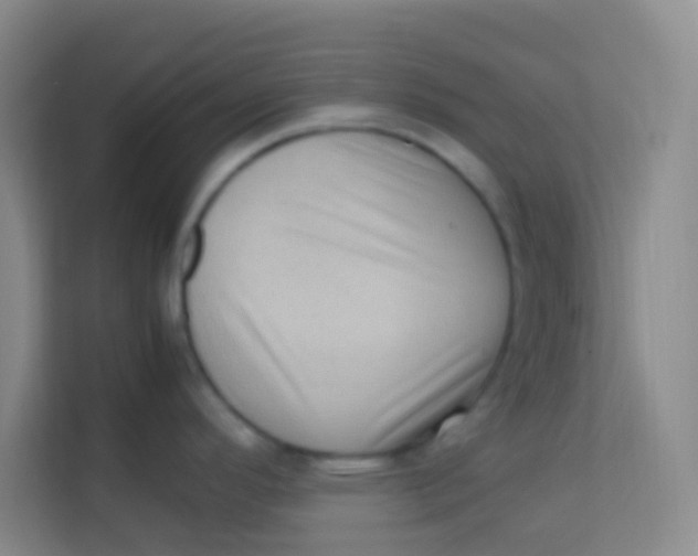 X0000113641296200910091529