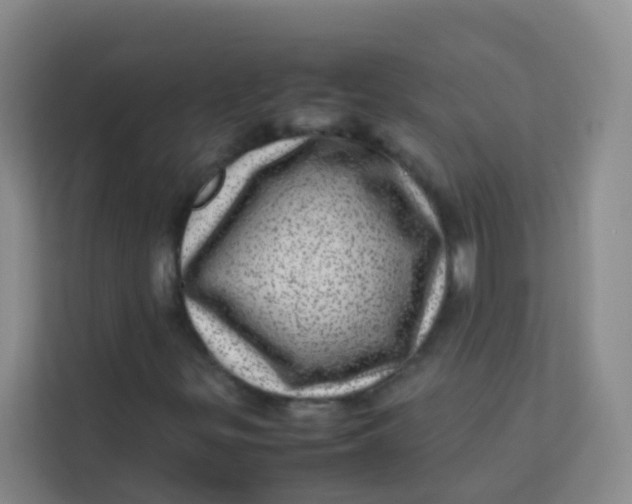 X0000113641299200910091528