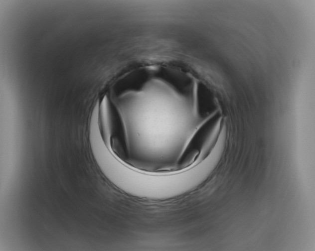 X0000113641300200910091528