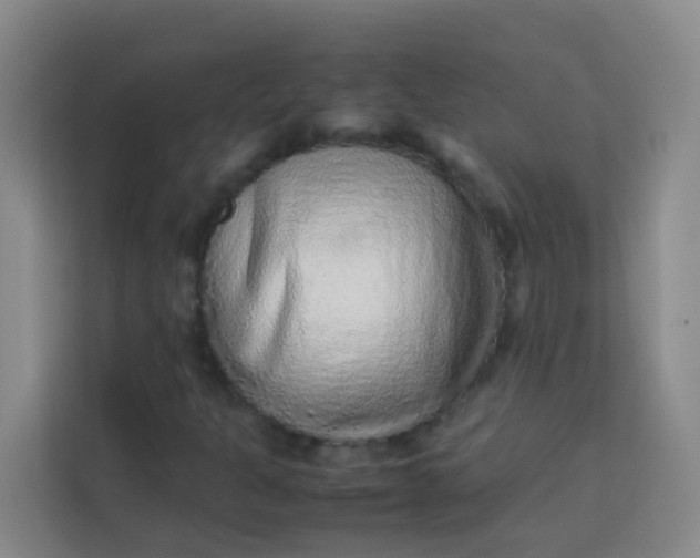 X0000113641301200910091528