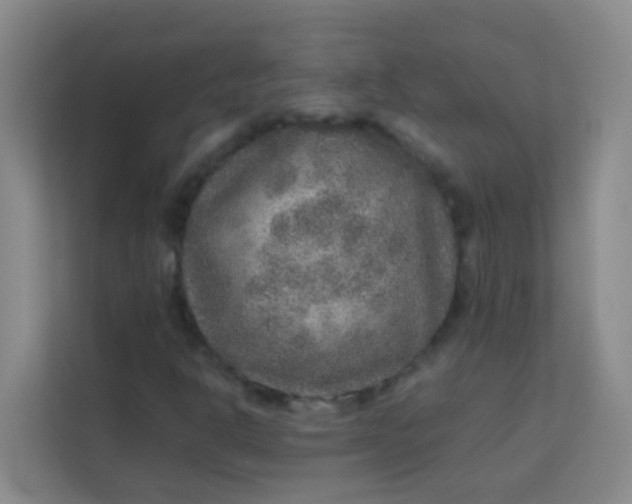 X0000113641302200910091528