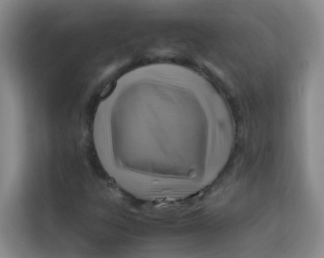 X0000113641303200910091528