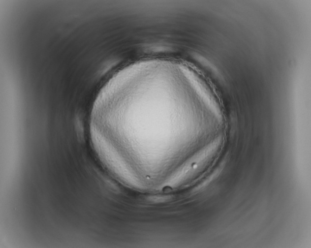 X0000113641305200910091529