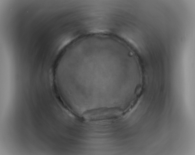 X0000113641306200910091529