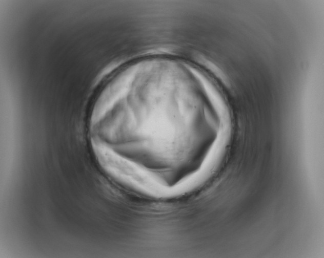 X0000113641308200910091529