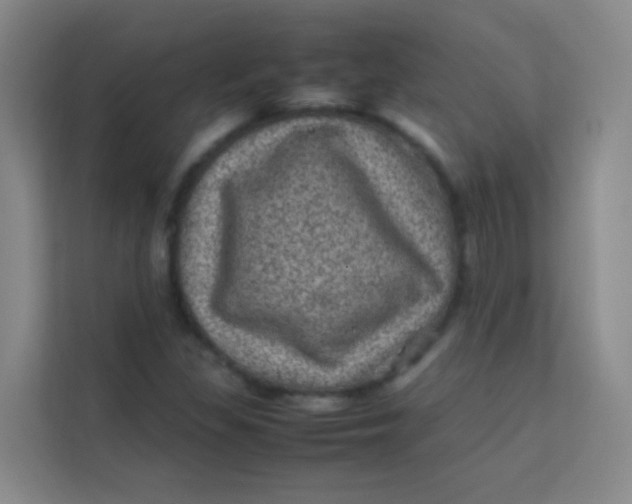 X0000113641309200910091529