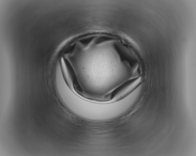 X0000113641310200910091529