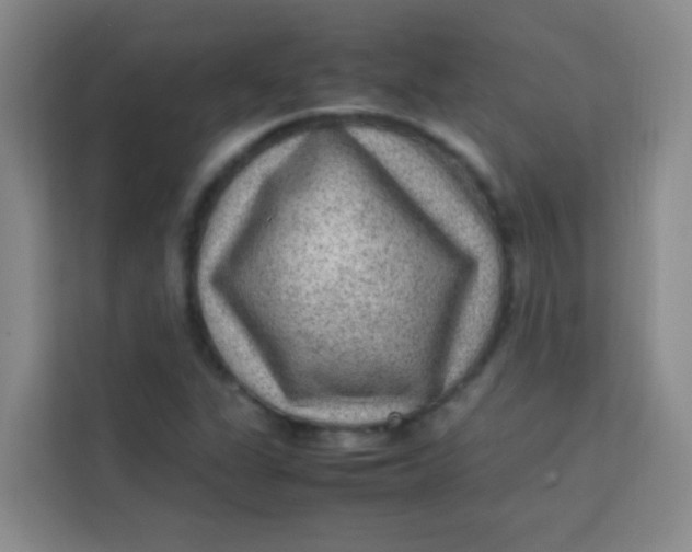 X0000113641311200910091529