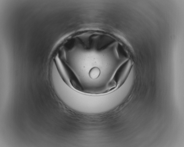 X0000113641312200910091529