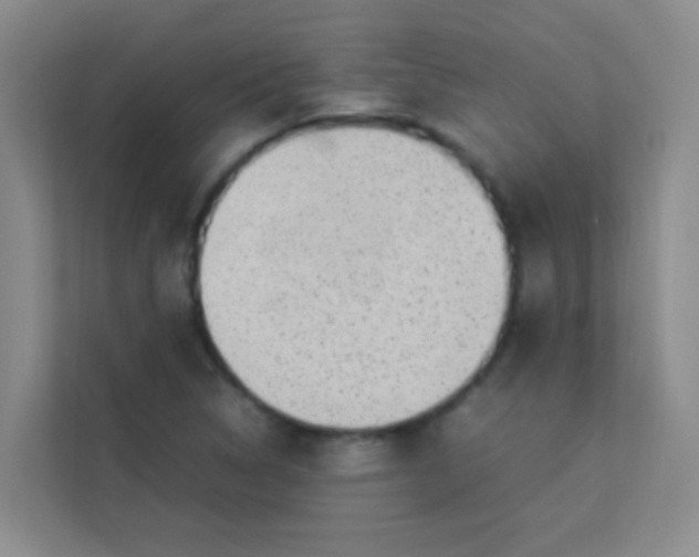 X0000113641314200910091529