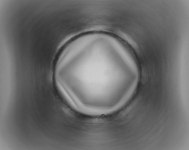 X0000113641316200910091529