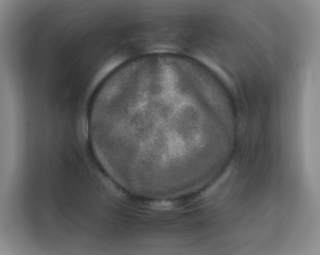 X0000113641317200910091529