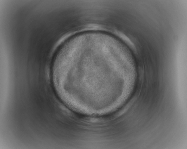 X0000113641318200910091529