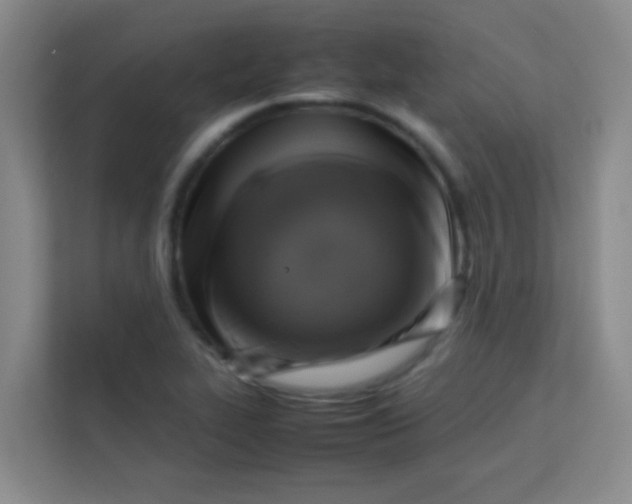 X0000113641319200910091529