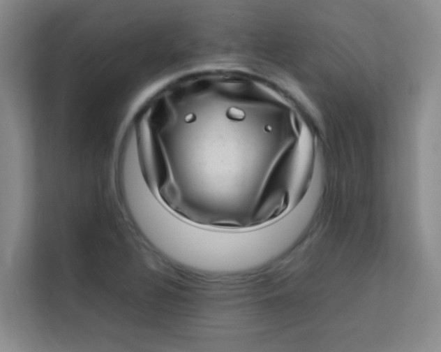 X0000113641320200910091529