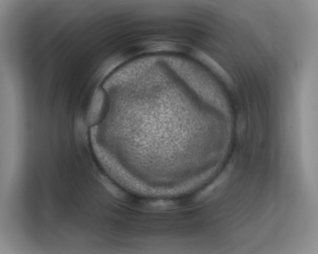 X0000113641321200910091529