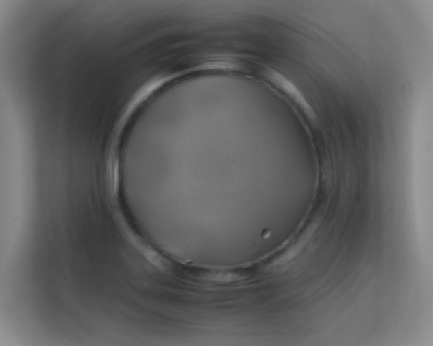 X0000113641323200910091529