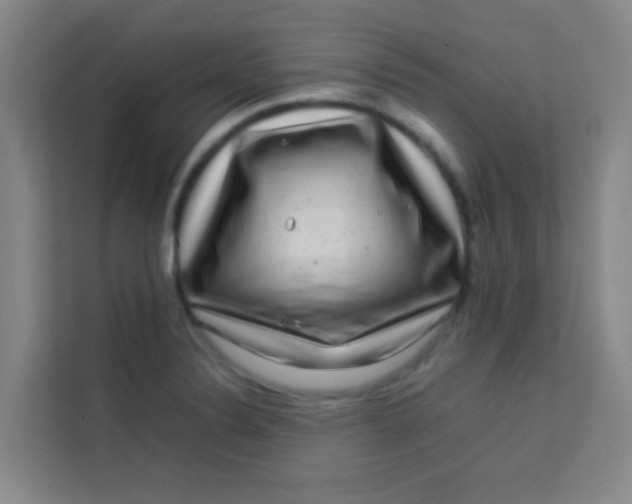 X0000113641324200910091529