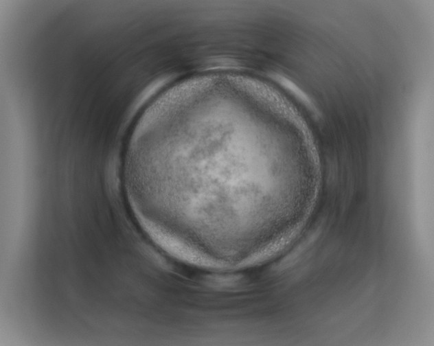 X0000113641325200910091529