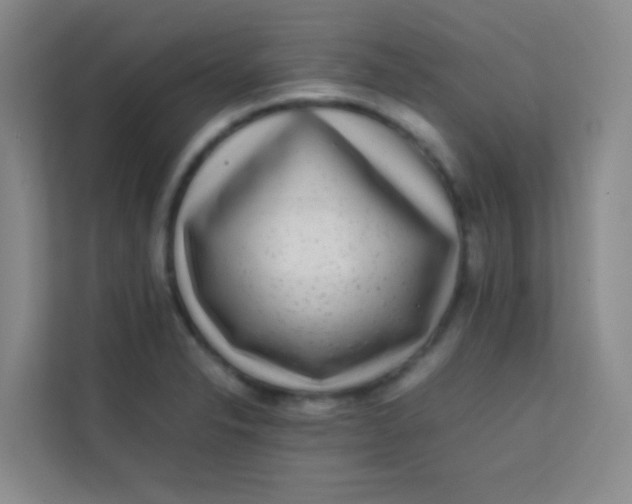 X0000113641326200910091529