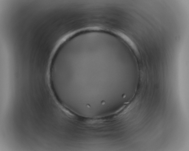 X0000113641327200910091529