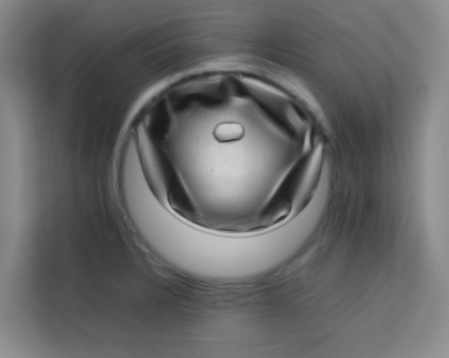 X0000113641328200910091529