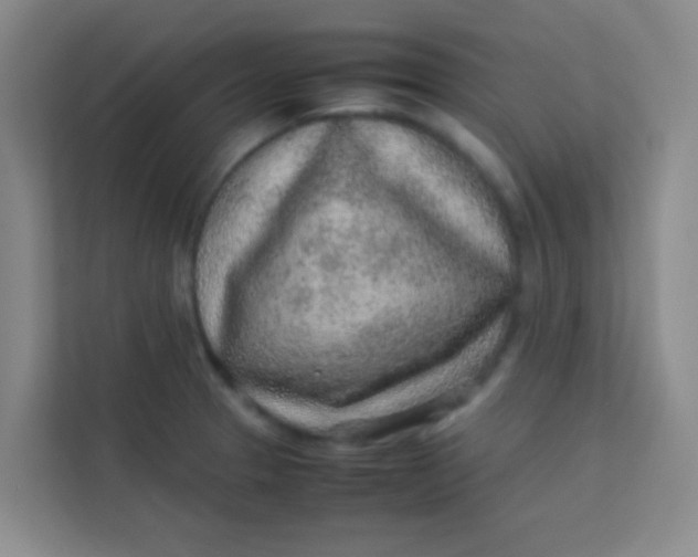 X0000113641329200910091529