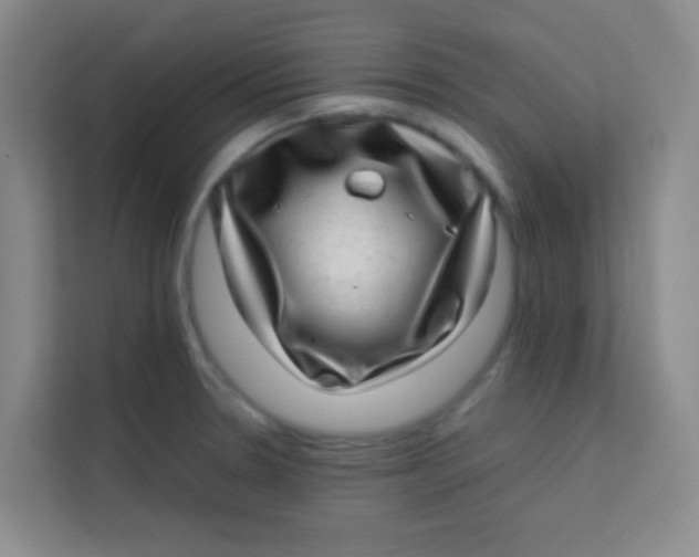 X0000113641330200910091529