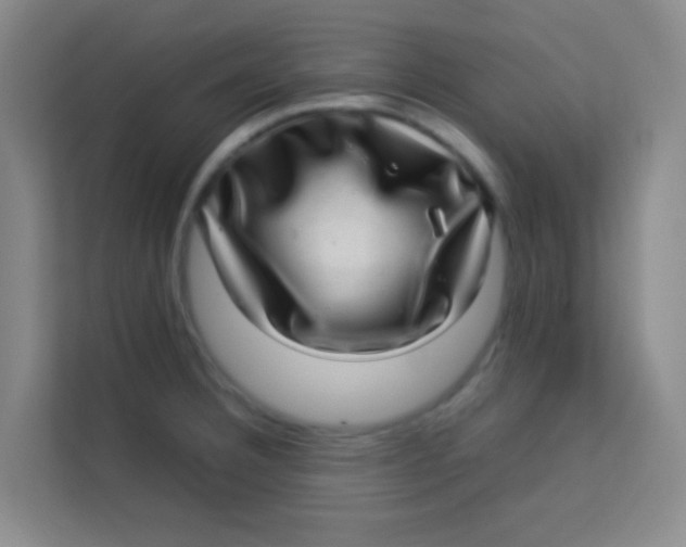 X0000113641332200910091529