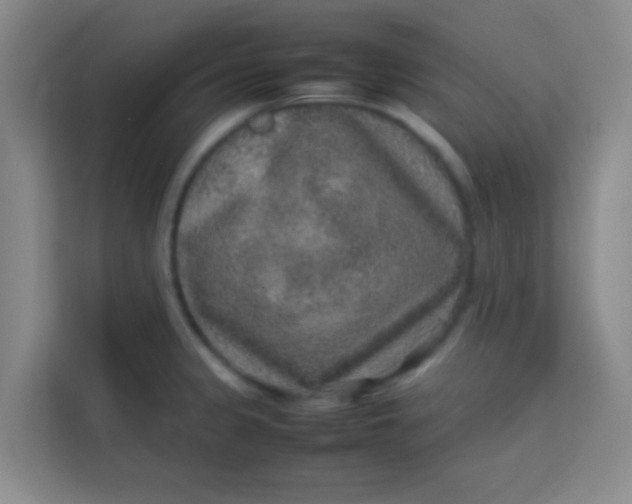 X0000113641333200910091529