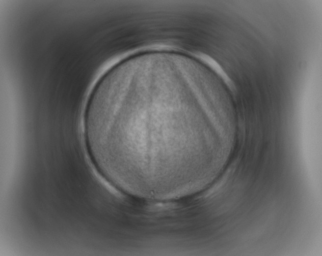 X0000113641335200910091529