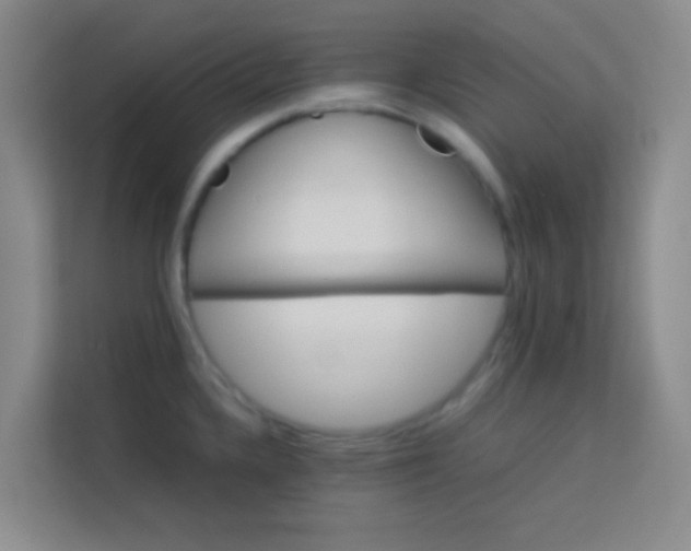 X0000113641336200910091529