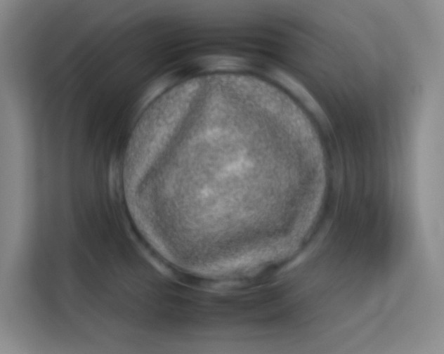 X0000113641337200910091529