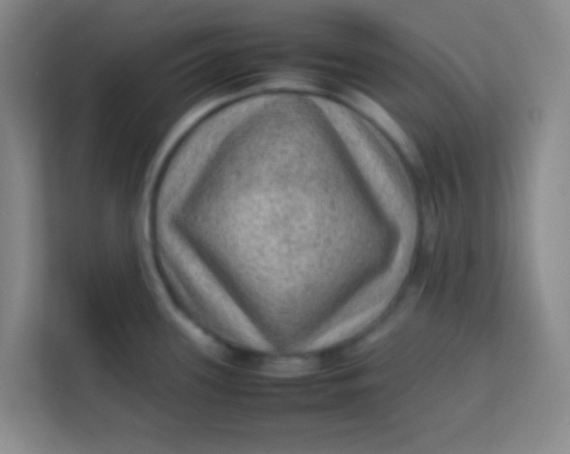 X0000113641339200910091529