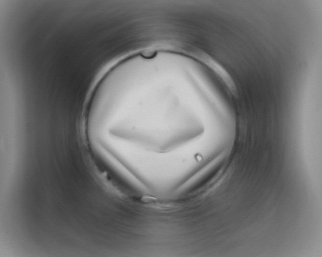 X0000113641340200910091529