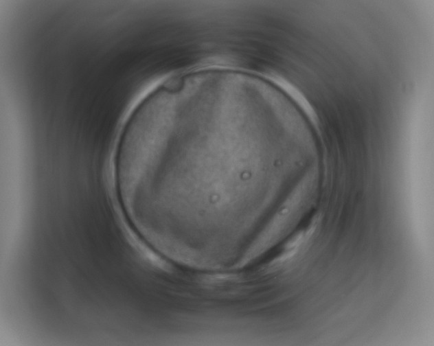 X0000113641341200910091529